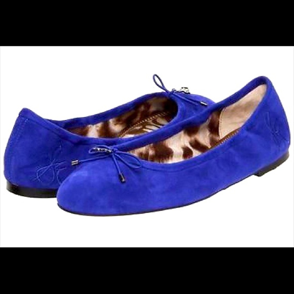 Barely worn Sam Edelman Felicia Suede Ballet Flat